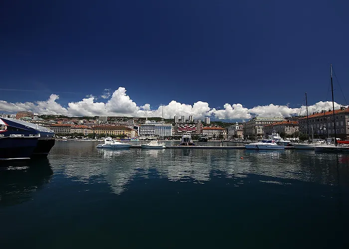 Centrally Located Seagull