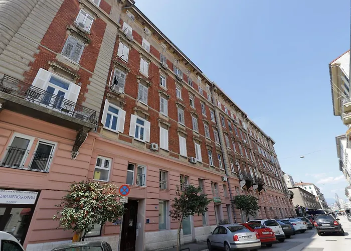 Centrally Located Seagull