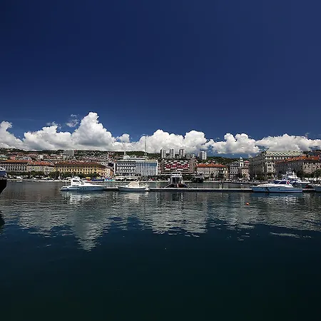 Centrally Located Seagull