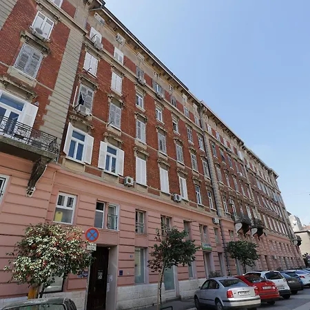 Centrally Located Seagull